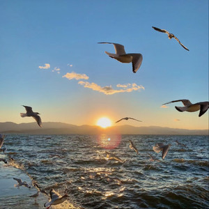 高清乱码🔞❌♋毛片软件
